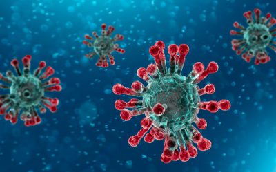 CORONAVIRUS: Italia zona protetta. Alcune considerazioni del Segretario Generale FIM-CISL Torino-Canavese, Davide Provenzano