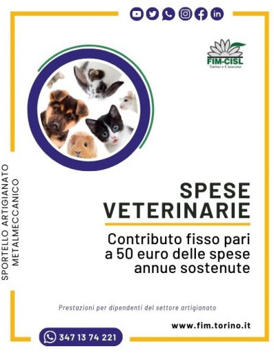 welfare settore artigianat